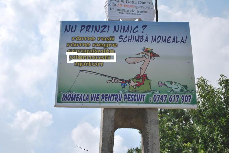 Diverse - virmusti.jpg